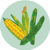 ノウハウが活きる野菜