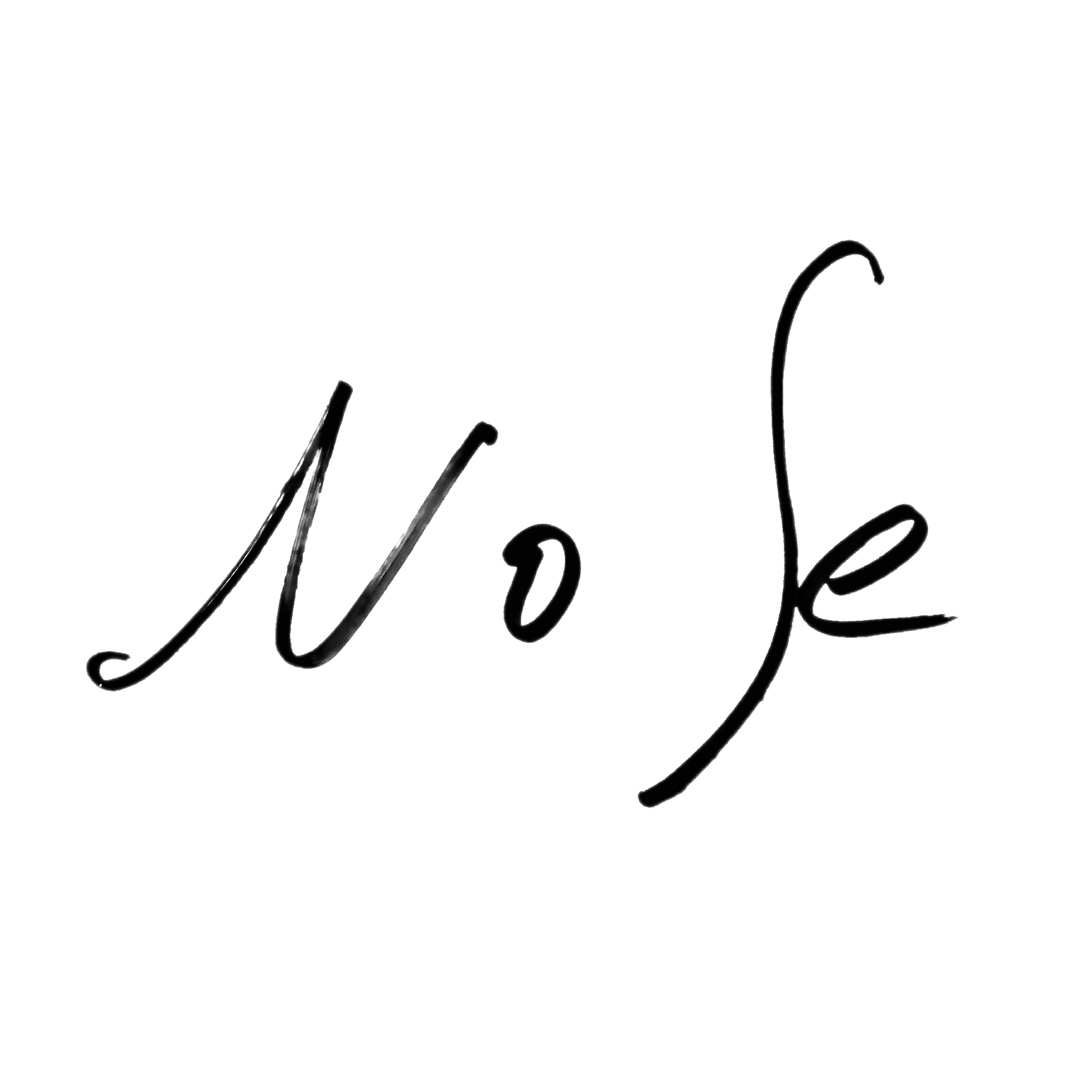 No Noise roastery