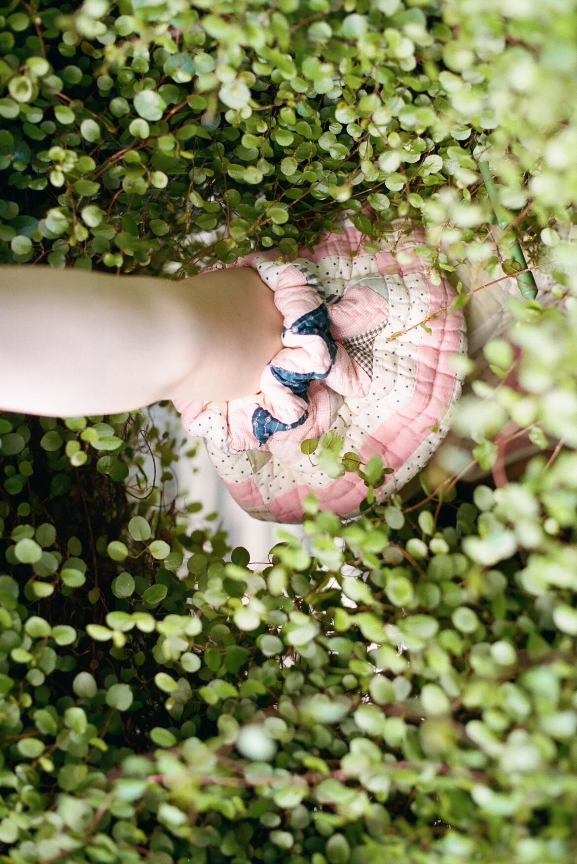 nude vintage キルトキャミソール 新品 nude vintage ヌードヴィンテージ キルト キャミソール nude