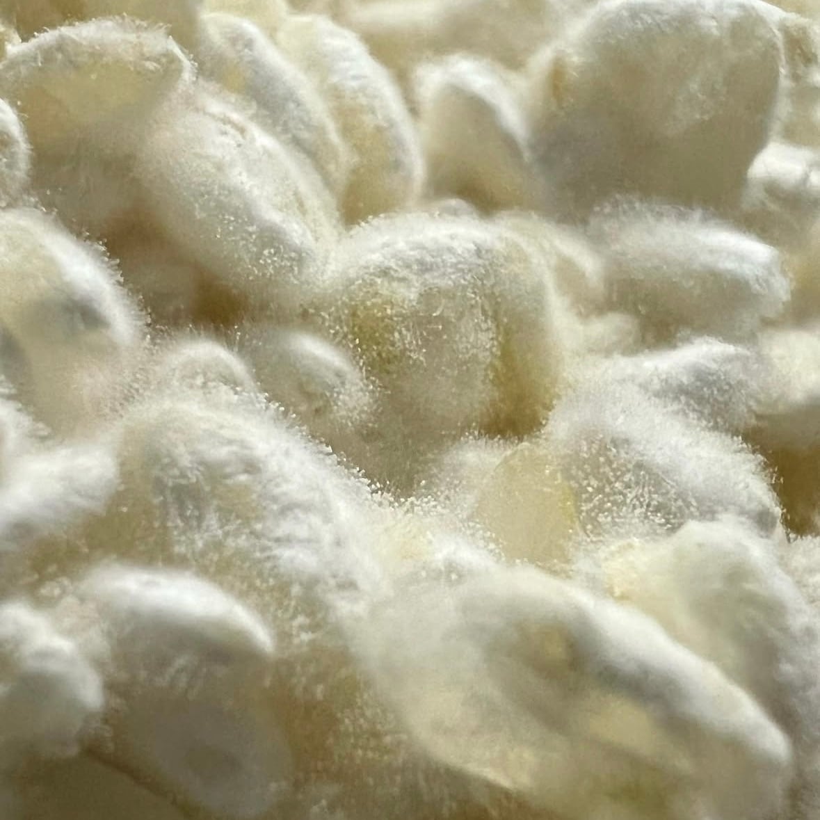 農家 ぬくぬく｜無添加・発酵・生米パン