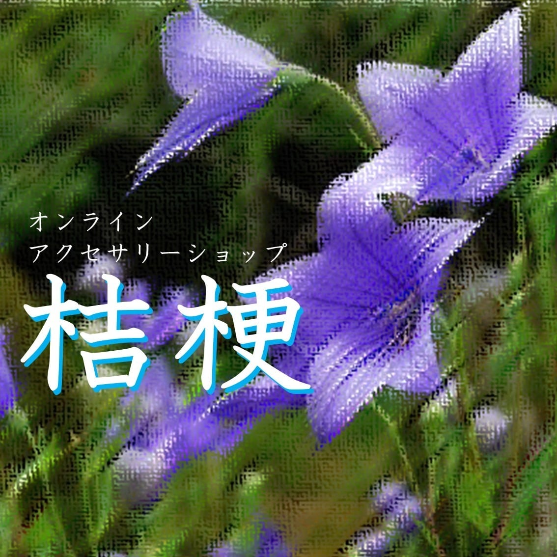 桔梗 -kikyo-