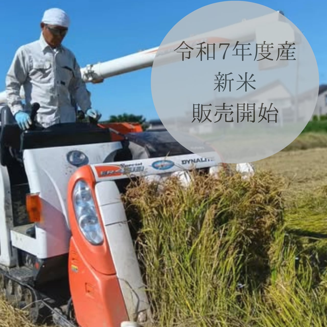 ◆令和７年度産新米◆販売を開始しました