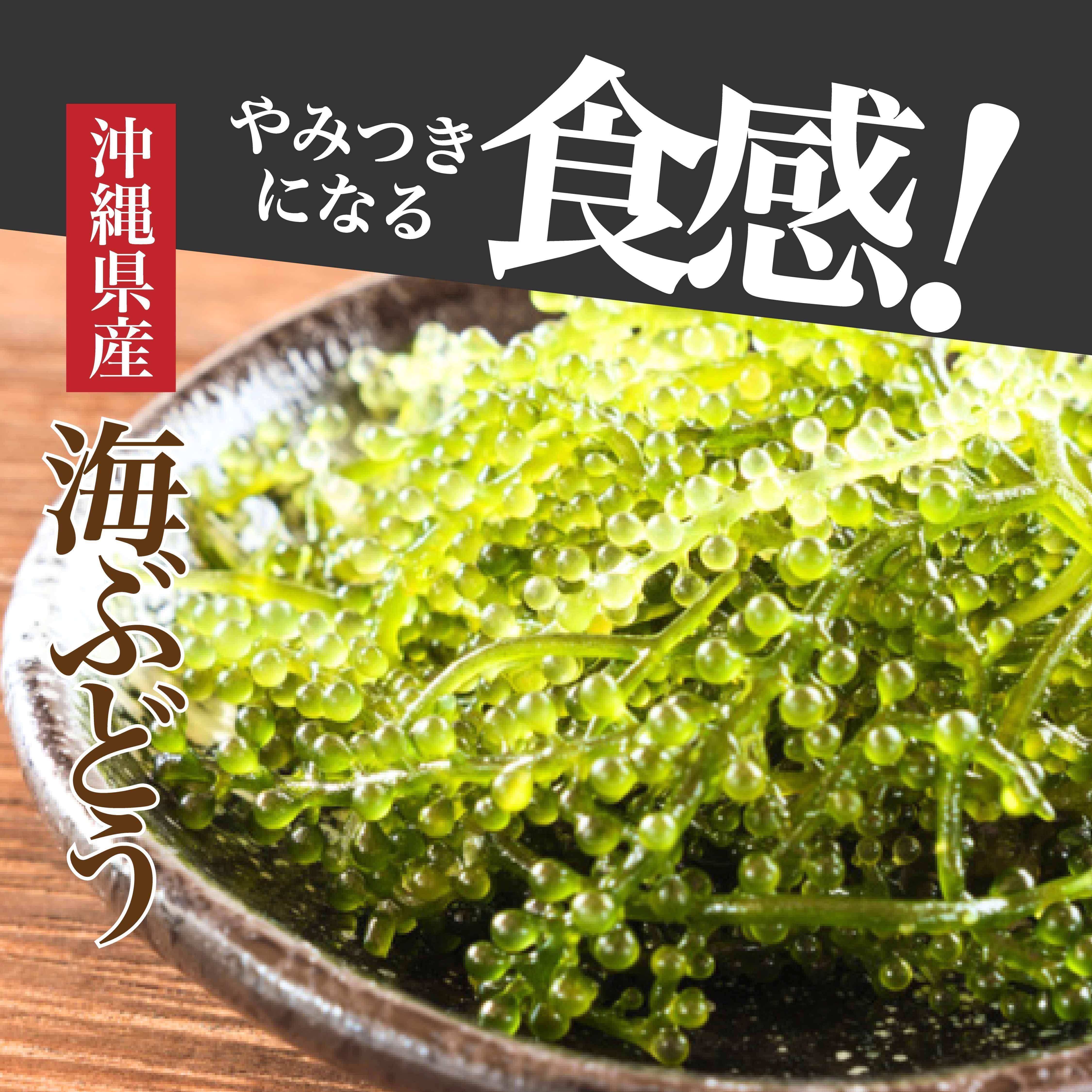 沖縄県産海ぶどう
