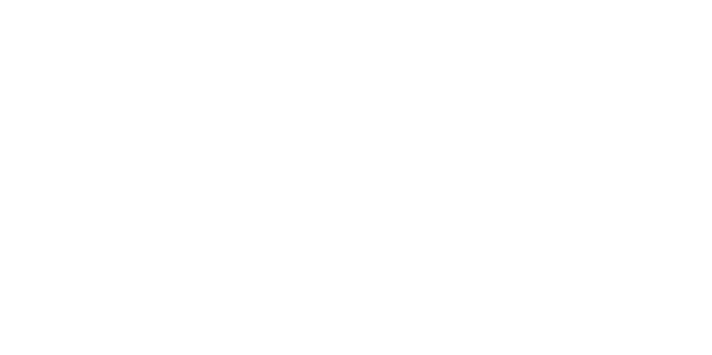 ON ROLL FLY