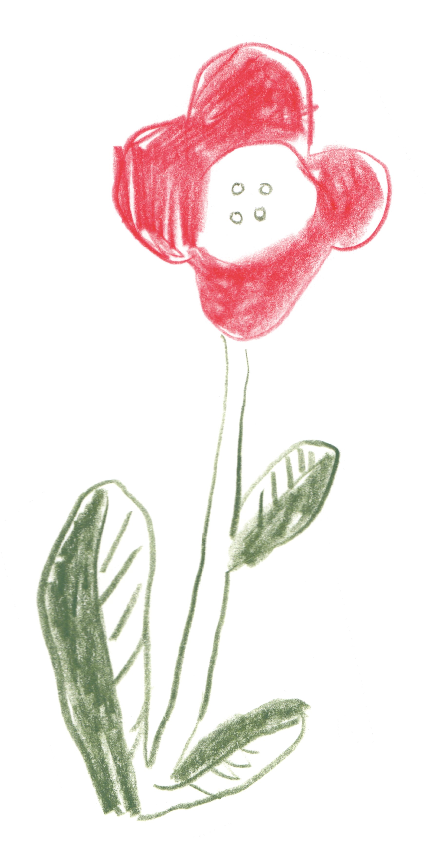 bouton