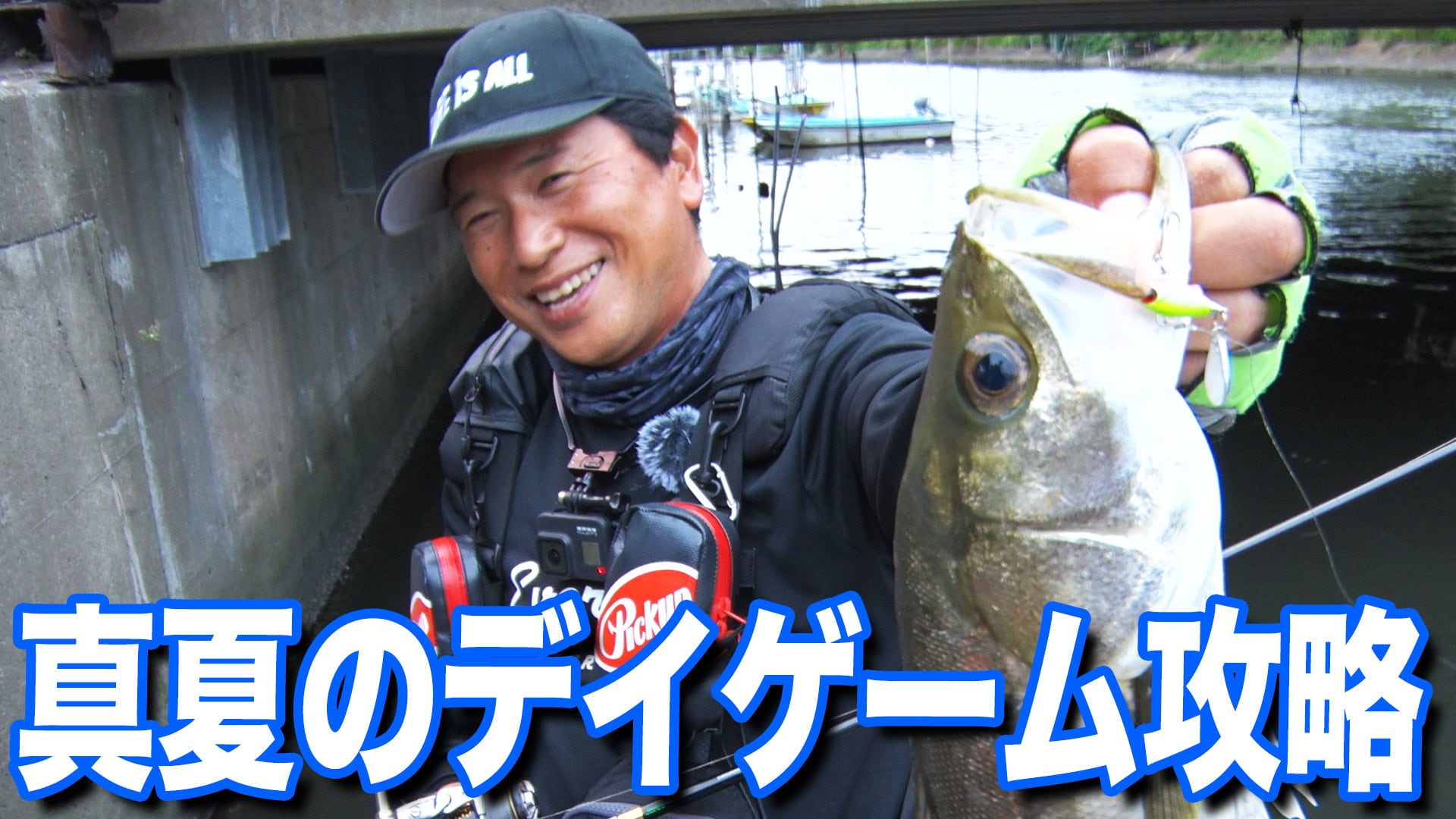 シーバス大学