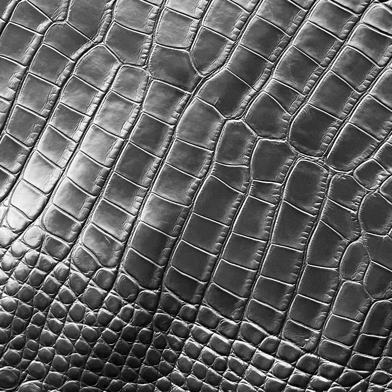 ALLIGATOR<br>
