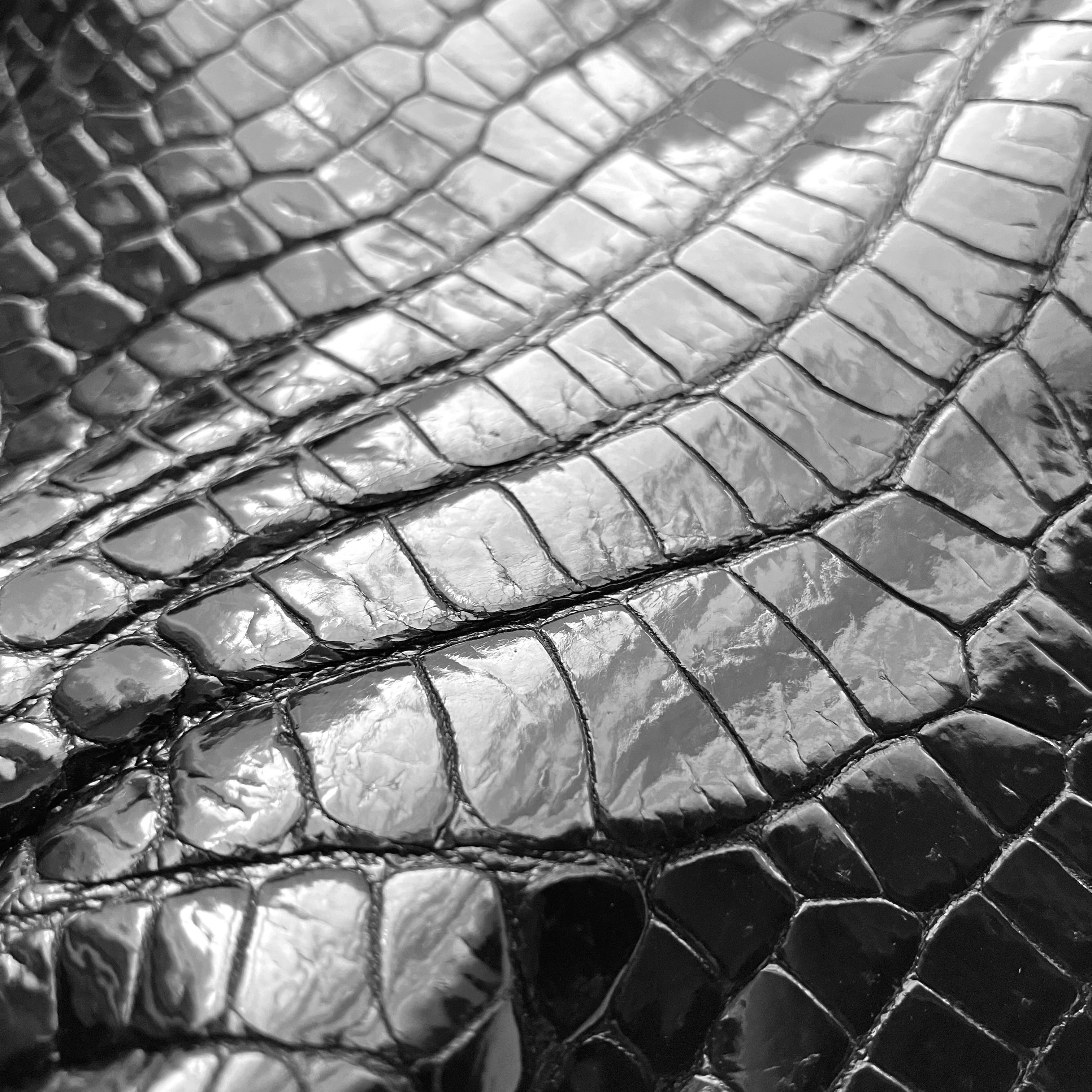 CROCODILE<br>
