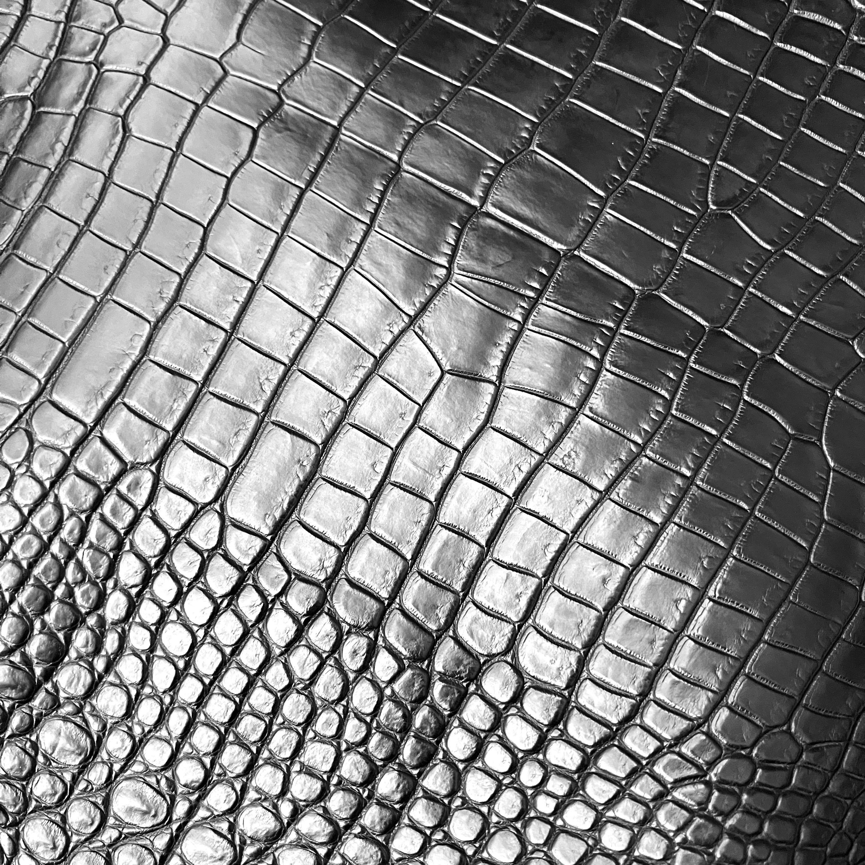 CROCODILE<br>
