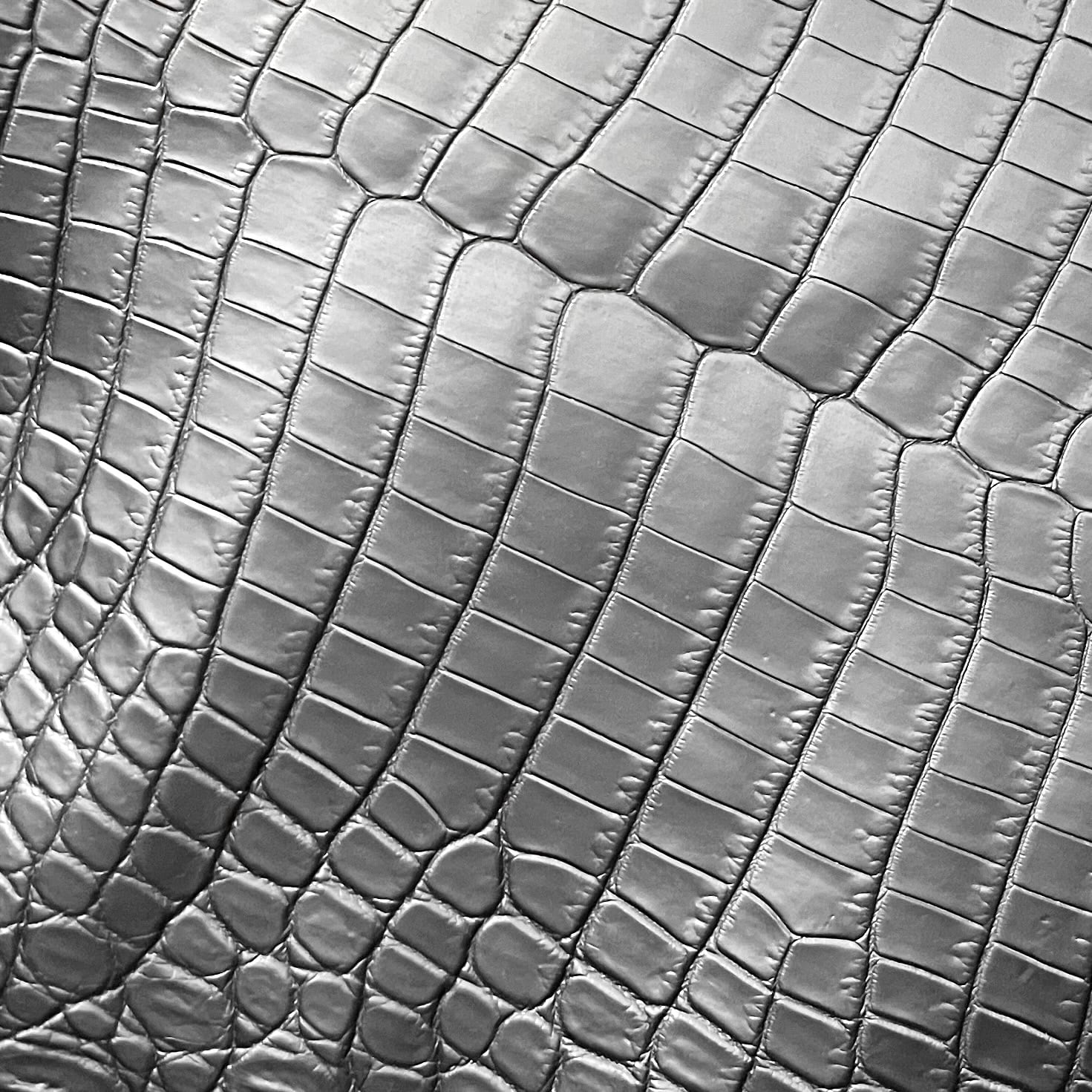 NILOTICUS — ニロティカス