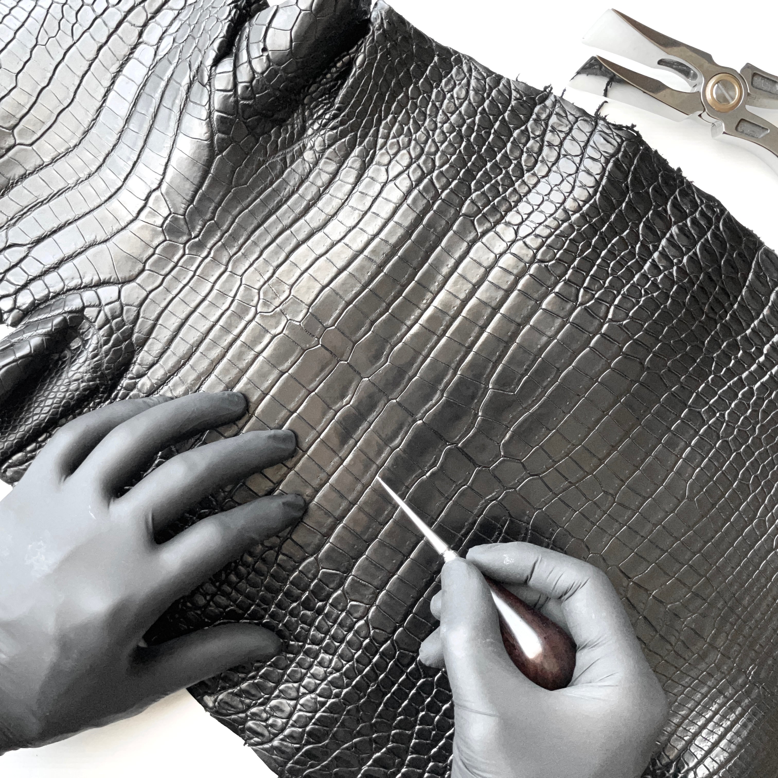 POROSUS — ポロサス