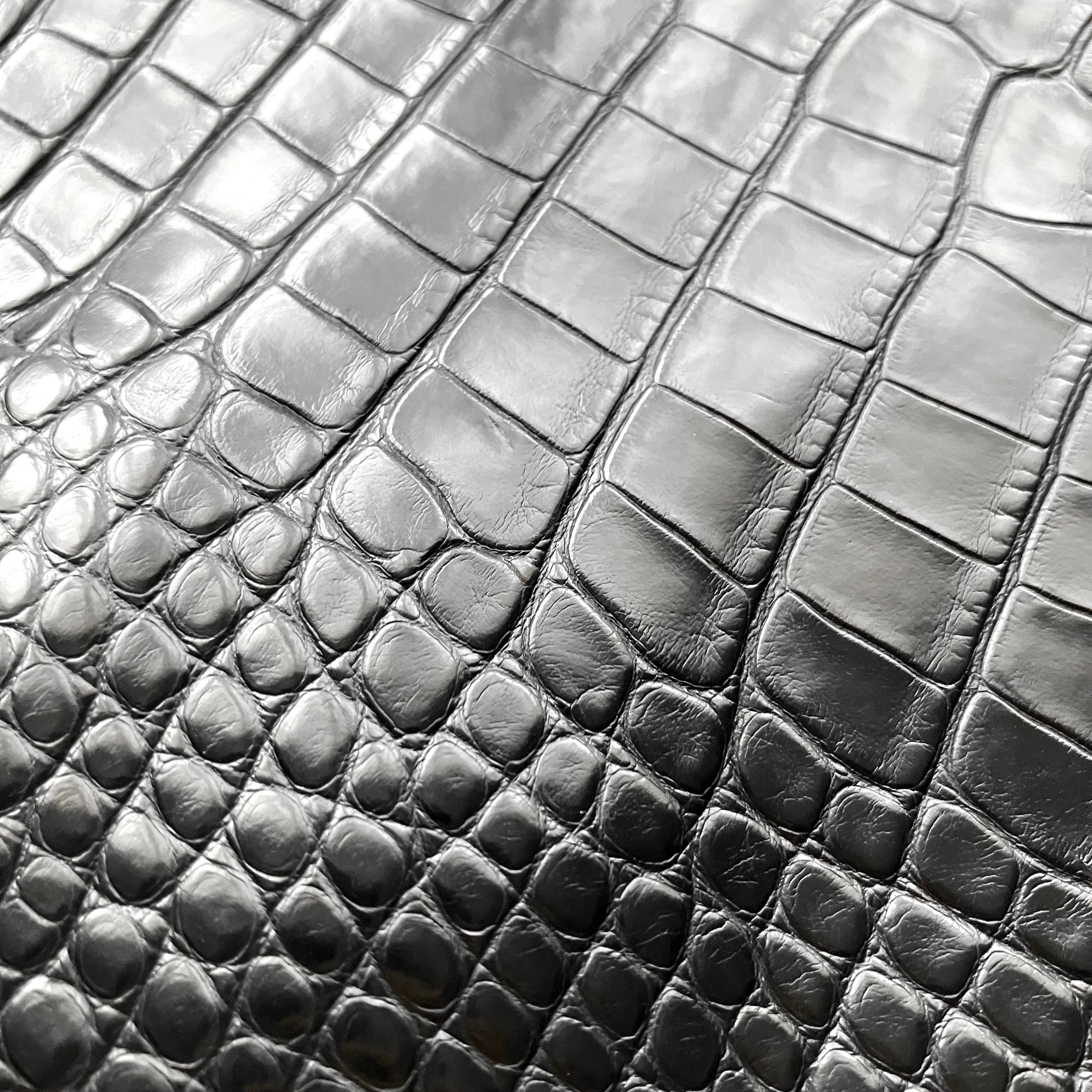 ALLIGATOR<br/>
