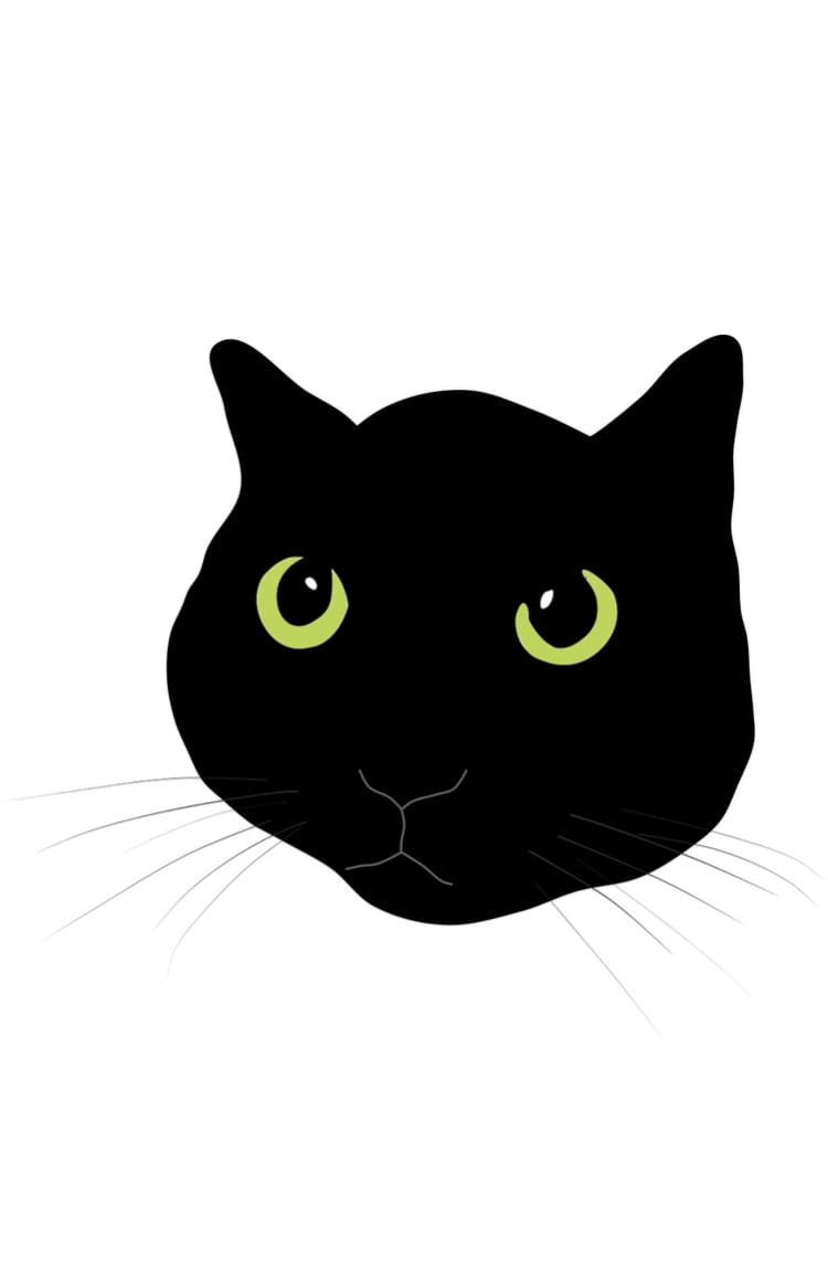 Cat Holic Record