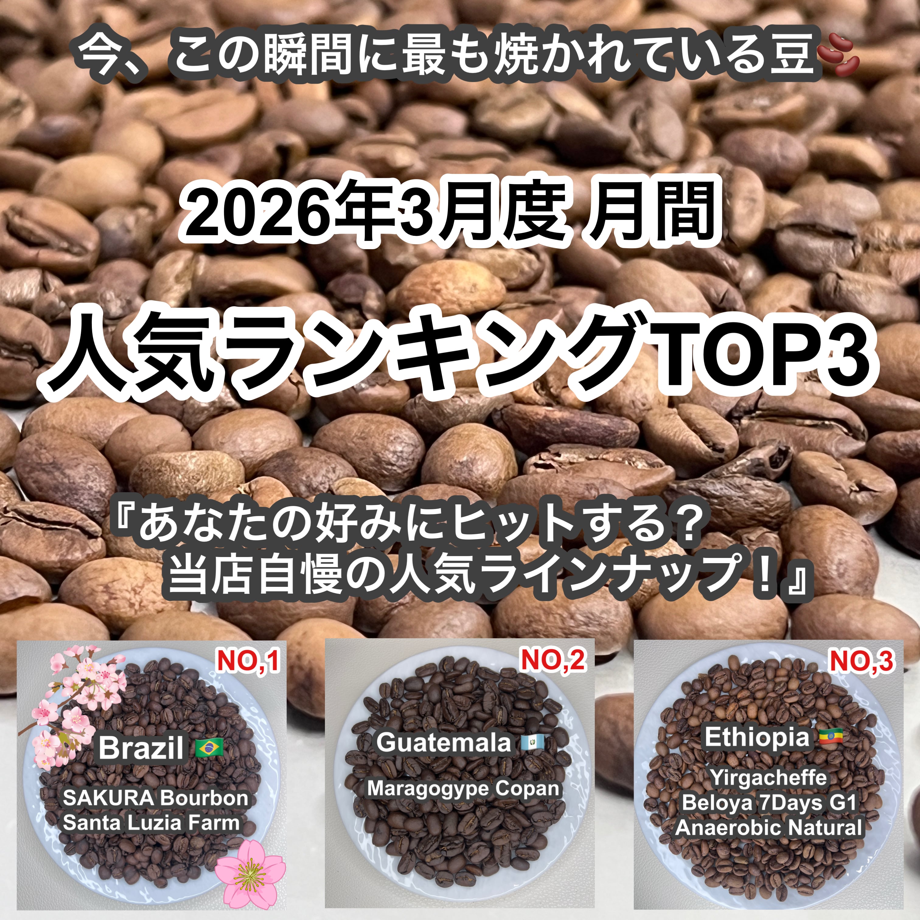 P CABIN COFFEE ROASTER(完全受注焙煎専門・自家焙煎珈琲豆・ネットショップ)