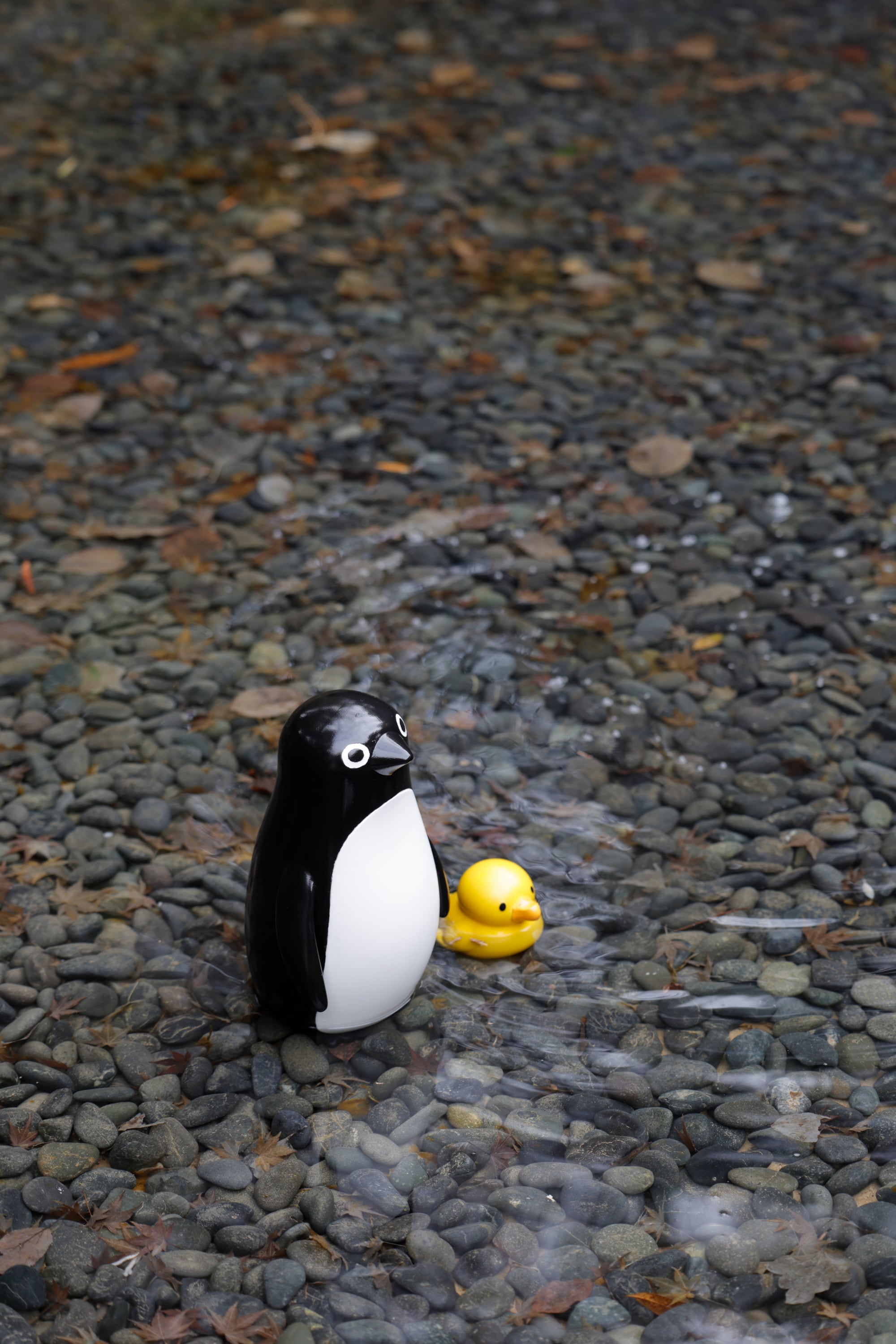 Penguin Design