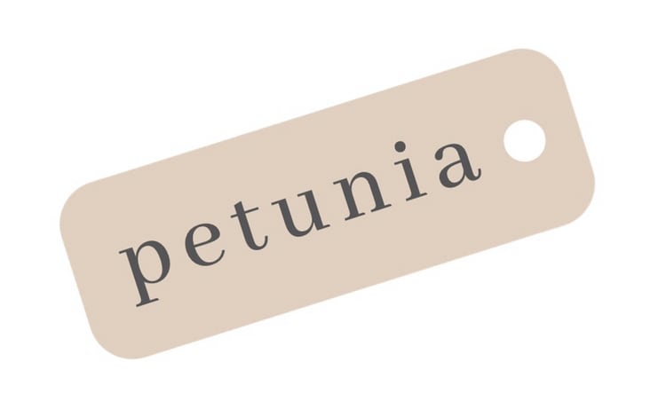 petunia 