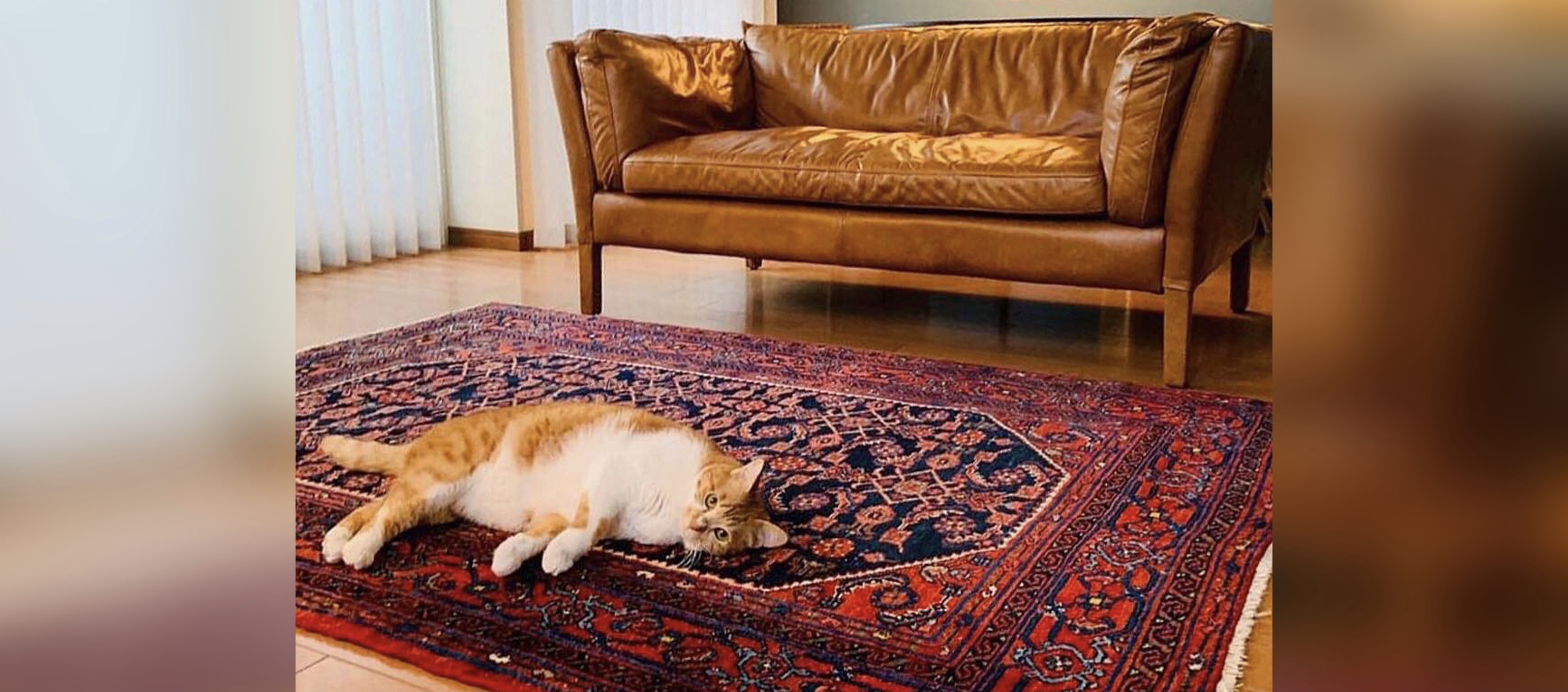 ペルシャ 手織り絨毯 ピクチャー ヴィンテージ ラグ 101cmx153cm-