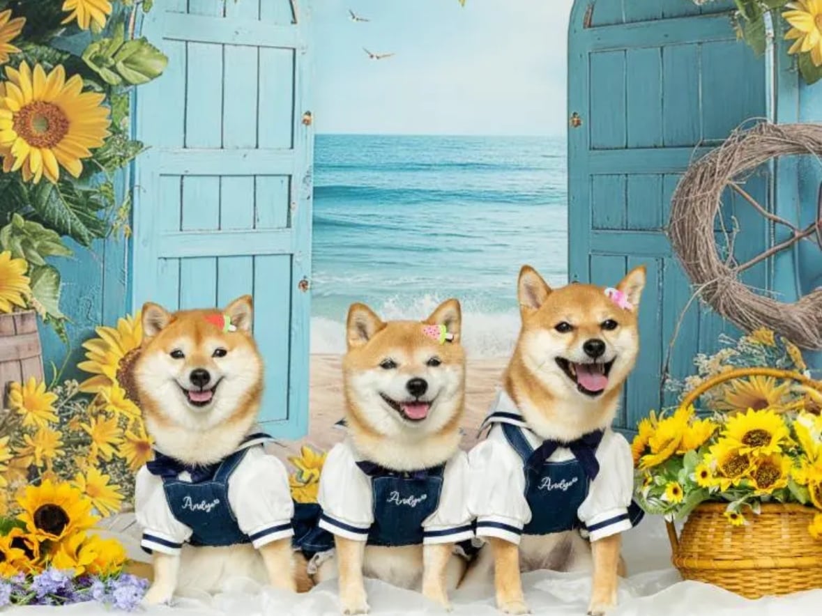 撮影背景布専門ショップricordi紹介画像1