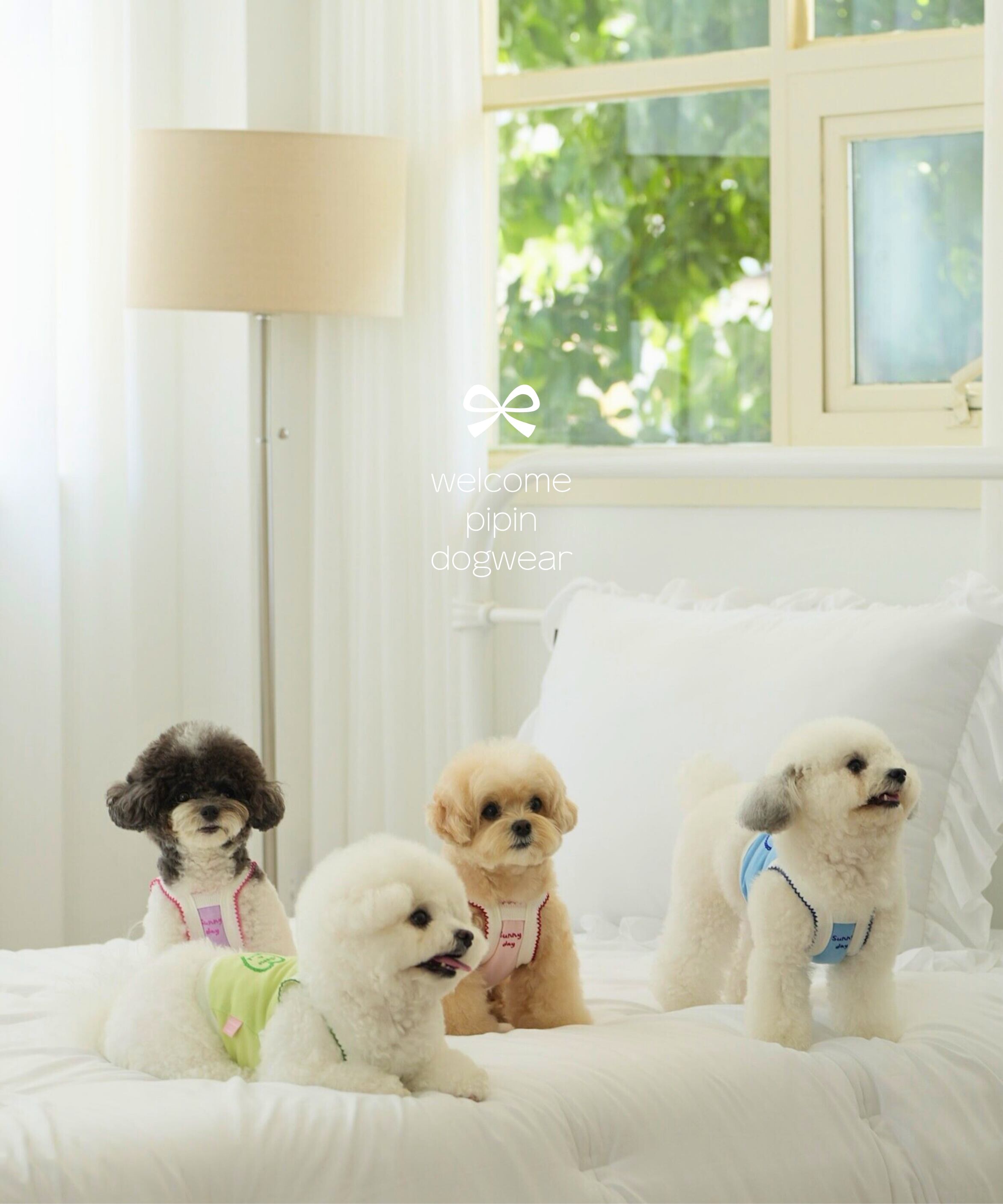 pipin dogwear