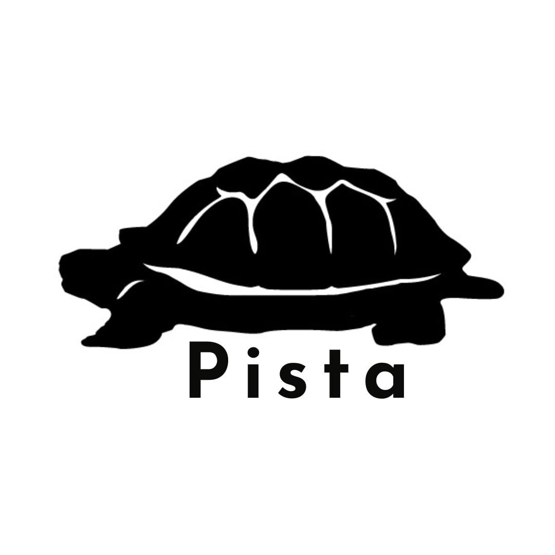 Pista