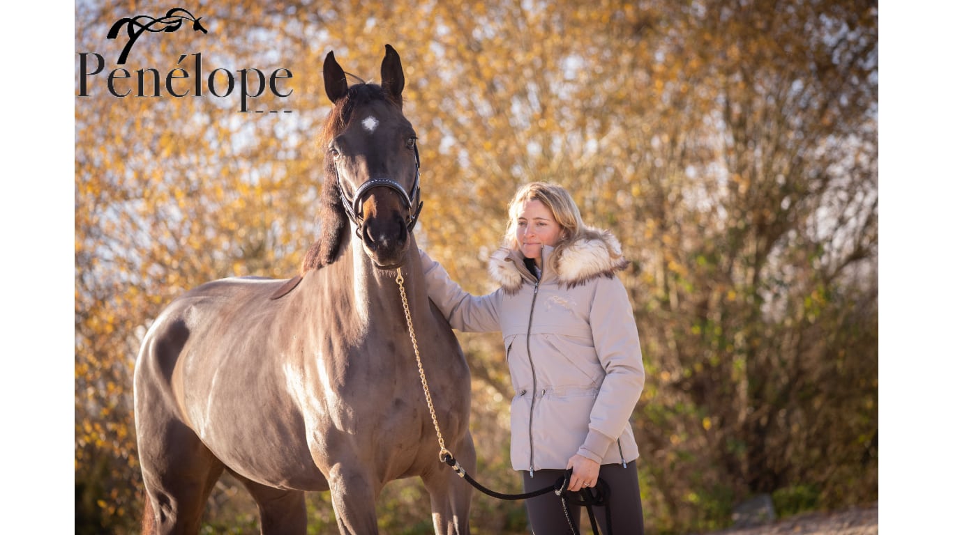 馬具・乗馬用品 P-joux紹介画像1