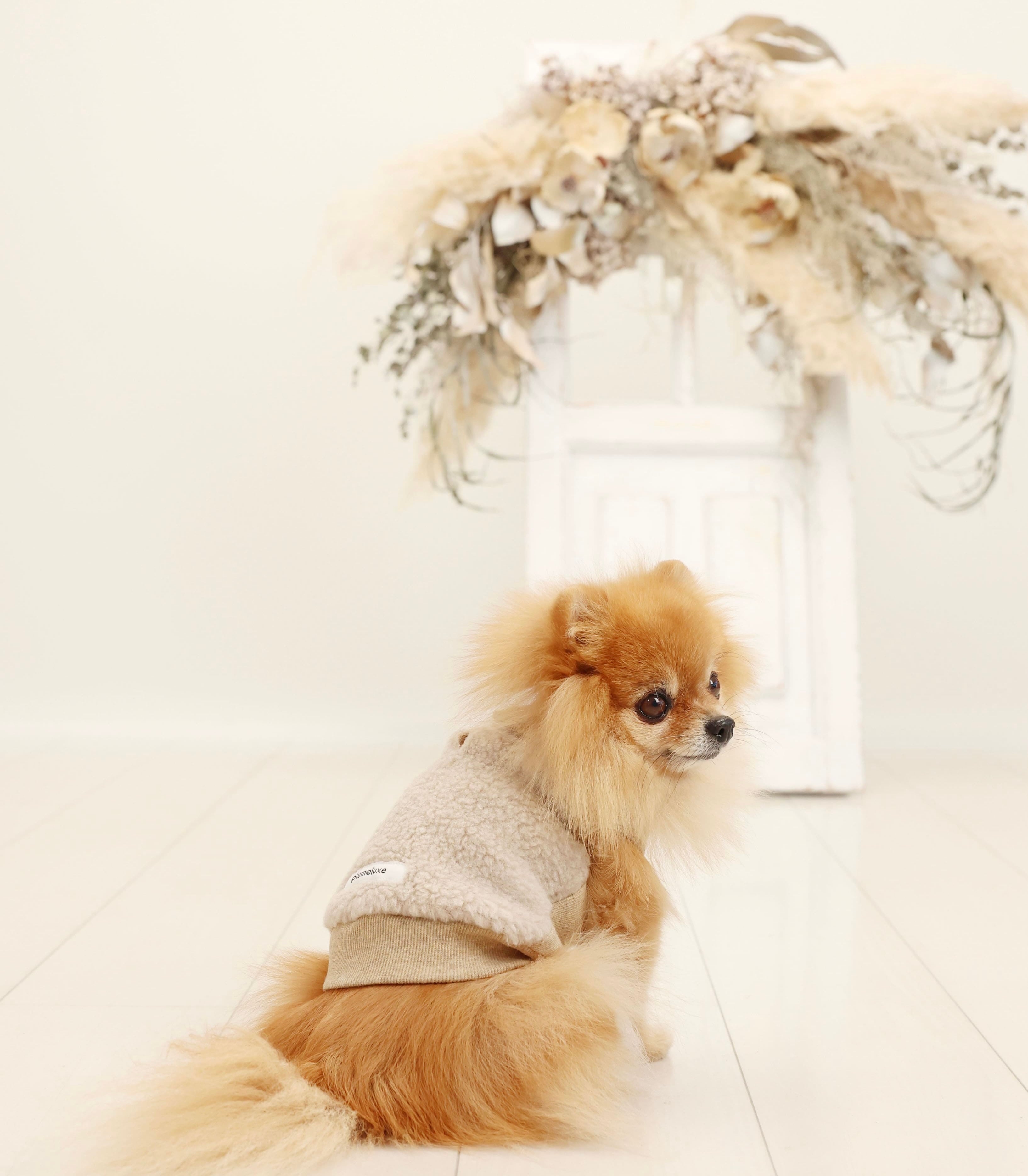Outerwear | plumeluxe