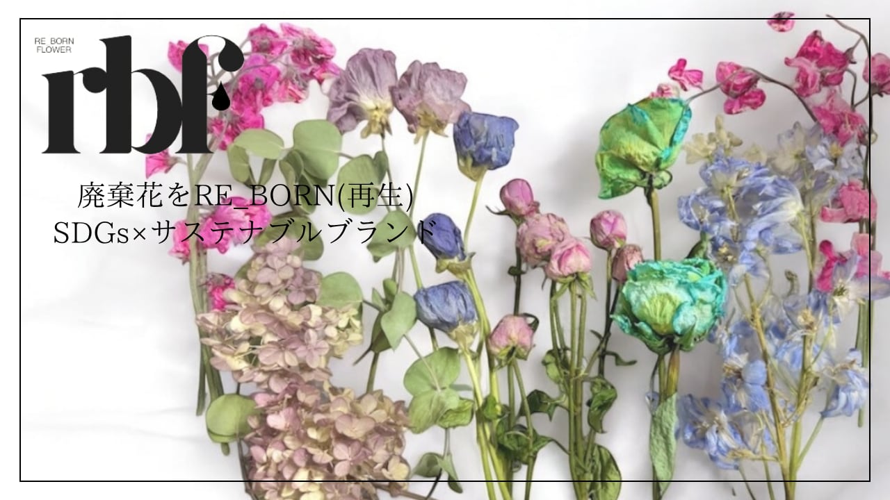 dried flowers shop .by popo't