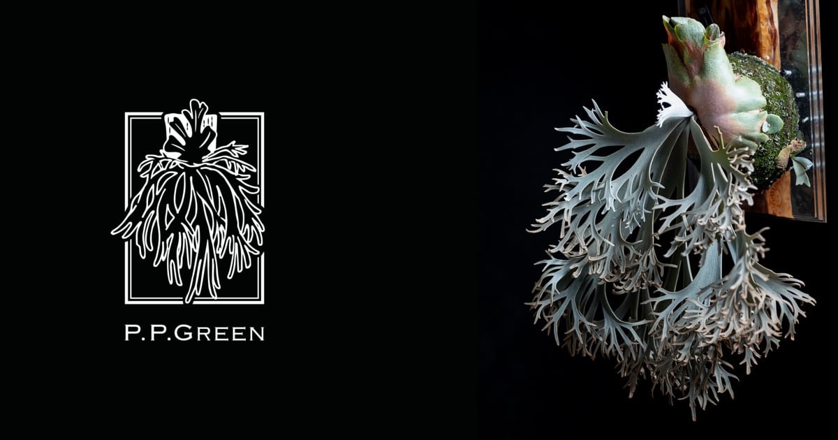 Uncia | P.P.GREEN