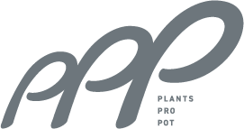 PPP (Plants Pro Pot)