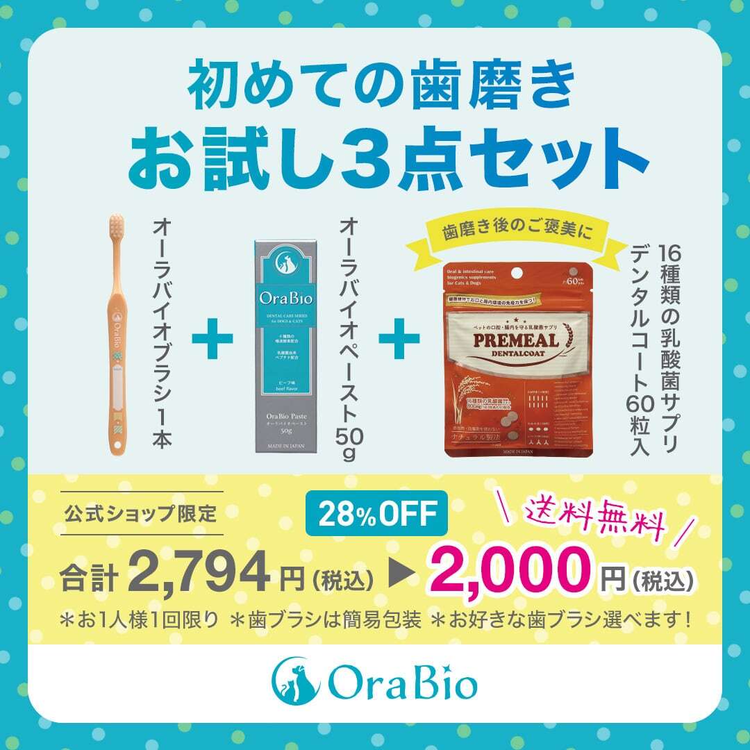 初めての歯磨きお試し３点セット (他のクーポン併用不可・お一人様１回限り)