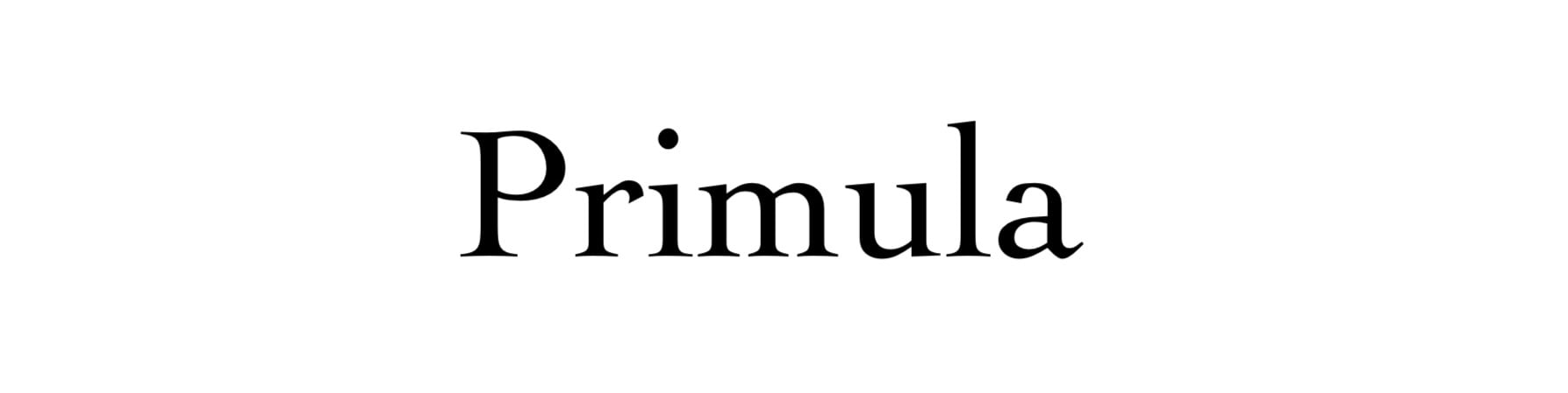 primula