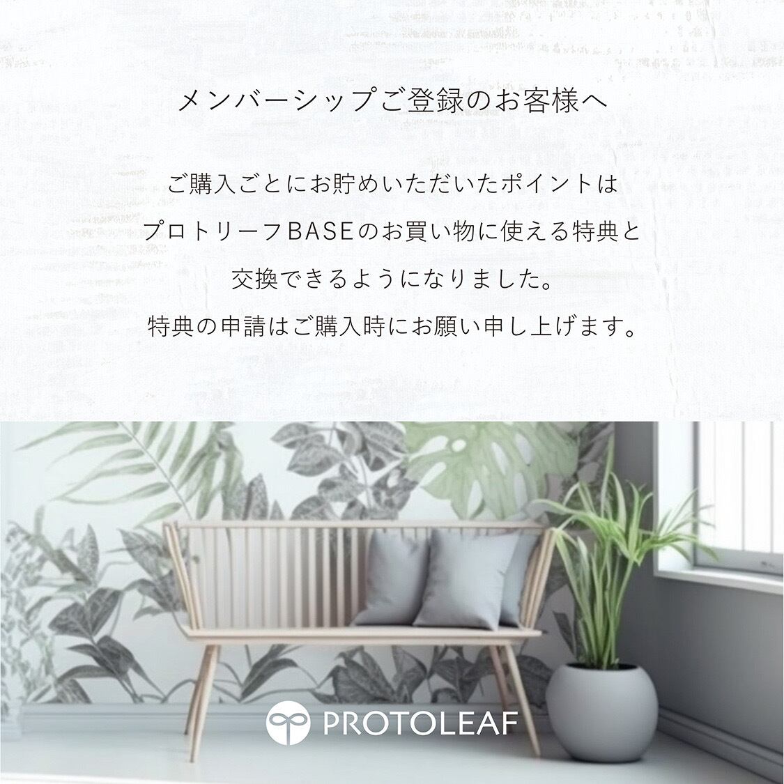 PROTOLEAF  プロトリーフ