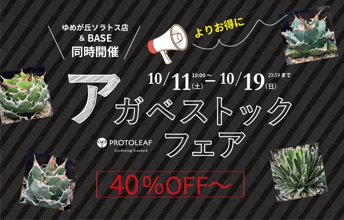 PROTOLEAF  プロトリーフ