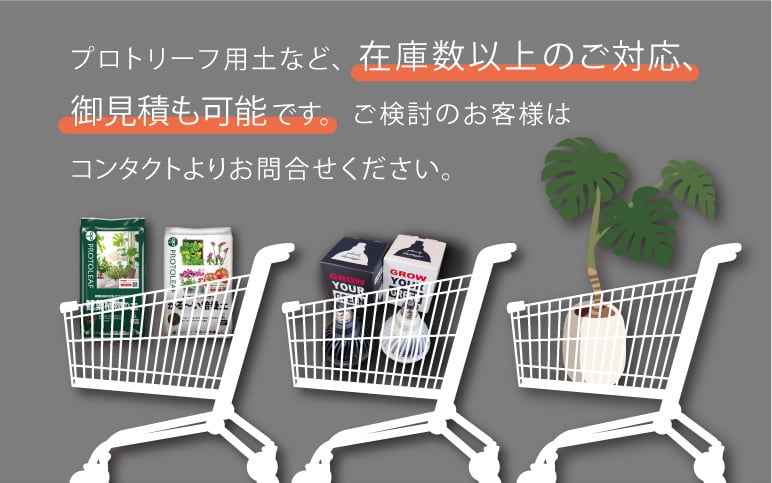 PROTOLEAF  プロトリーフ