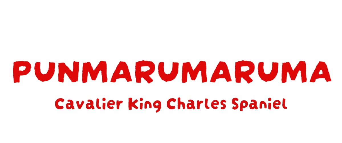 PUNMARUMARUMA|キャバリア好きのための小さな雑貨屋さん