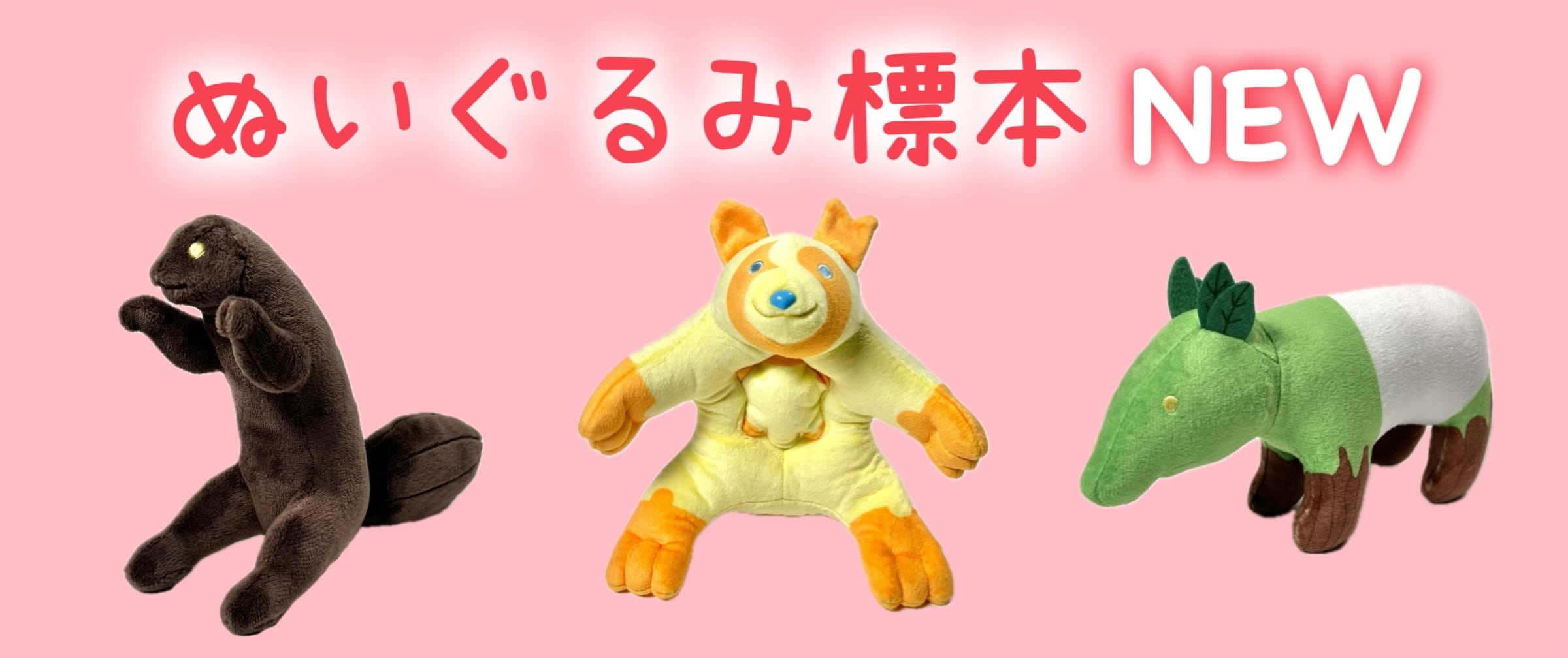 Qrazy Chocolate クレイジーチョコレート