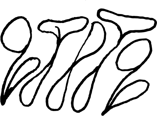 qtptq