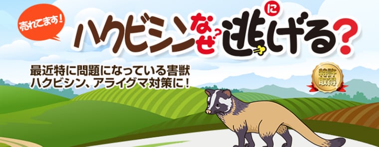 ハクビシンなぜ逃げる？