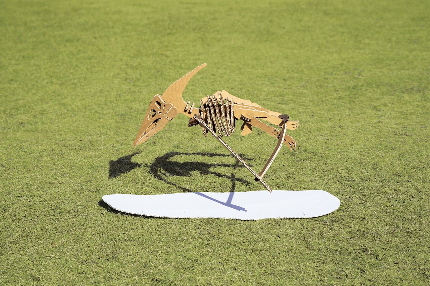大きな翼で空を滑空した翼竜、プテラノドン。その独特な骨格をダンボールで美しく再現しました