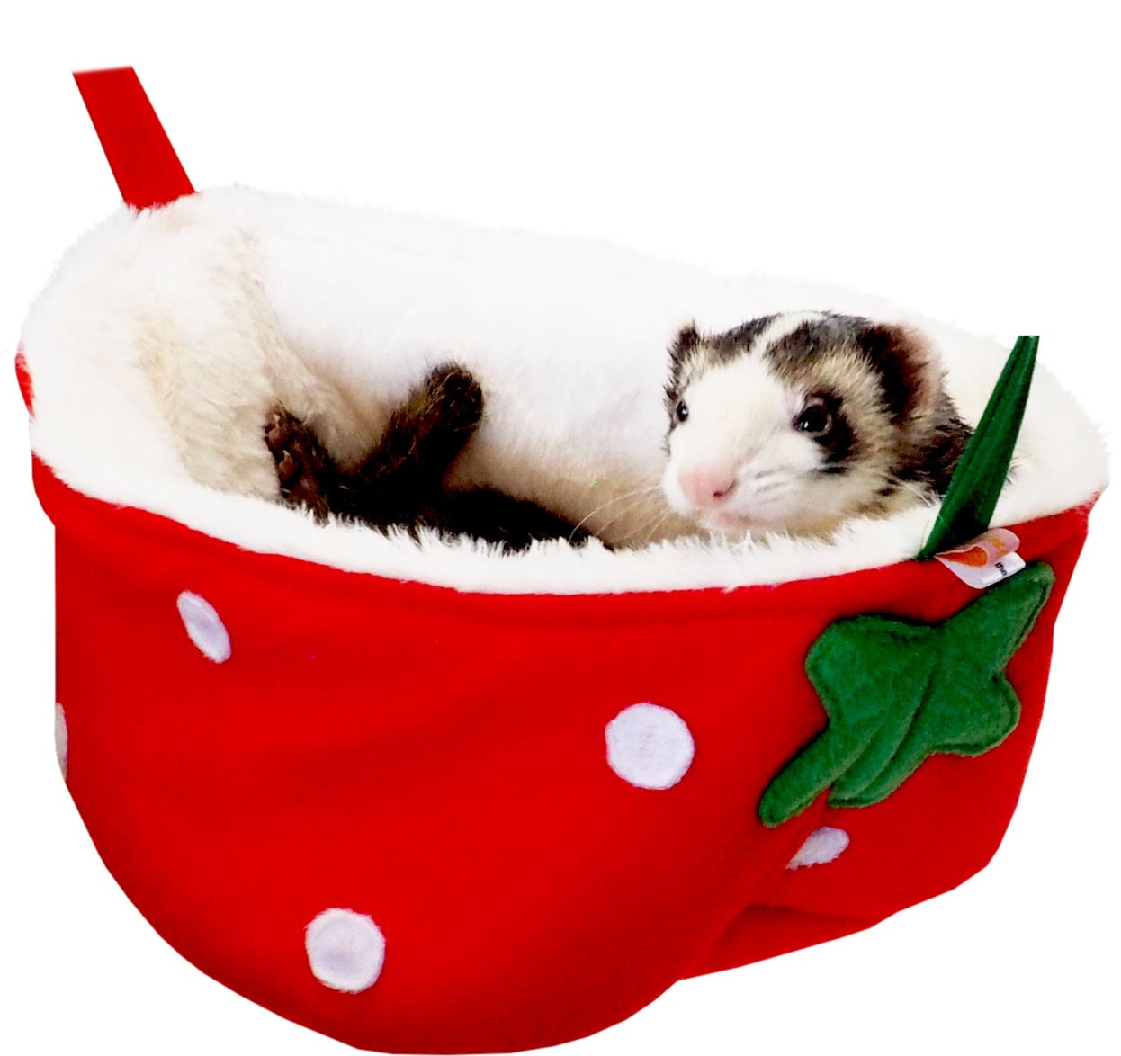 入荷しました❤フェレットのいちごバケツ