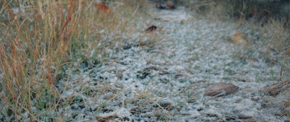蘭と月 - オンラインショップ
