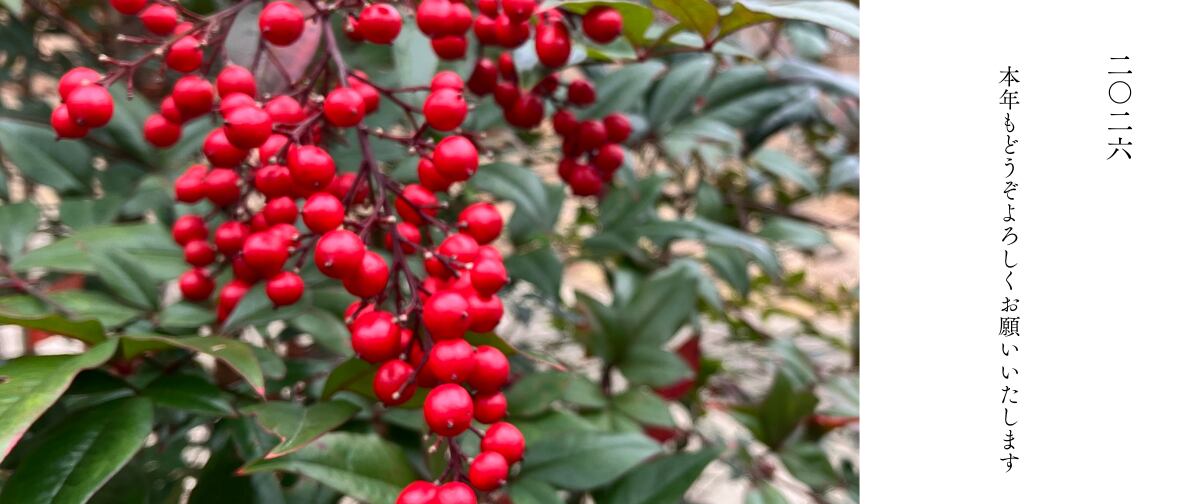 香道御香流「冬の庭」伽羅　香道 　お香 　1点物 香道御香流「冬の庭」伽羅 香道 お香 1点物 お香 | お香・香炉の日本香