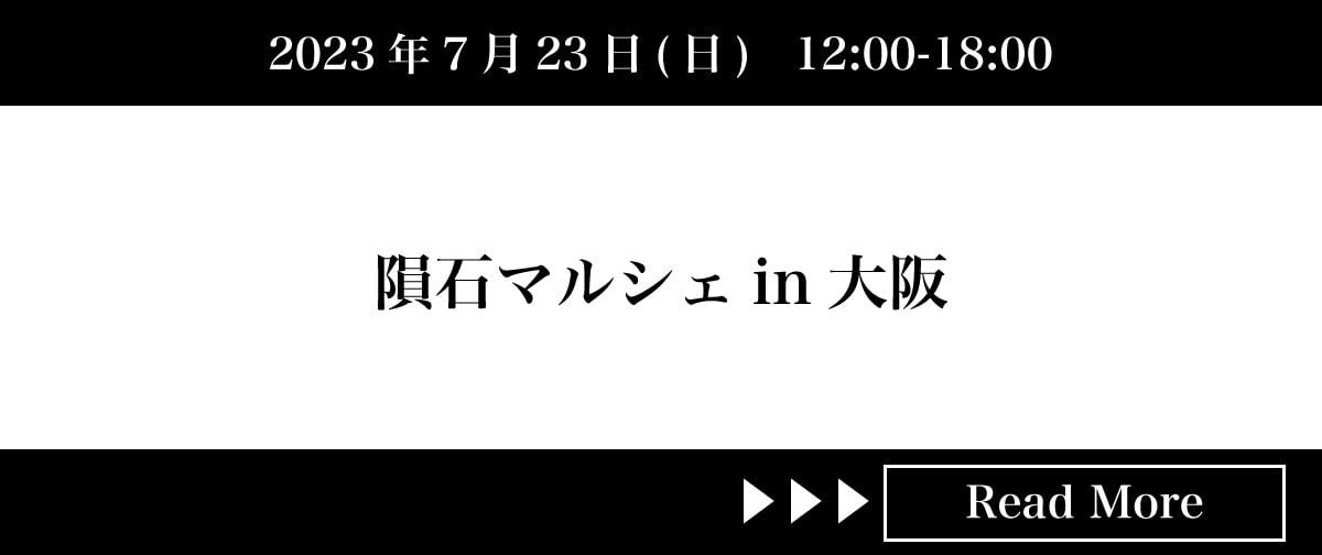 ゲベルカミル隕石 61.3g 隕石原石 Gebel Kamil 鉄隕石　隕石隕石