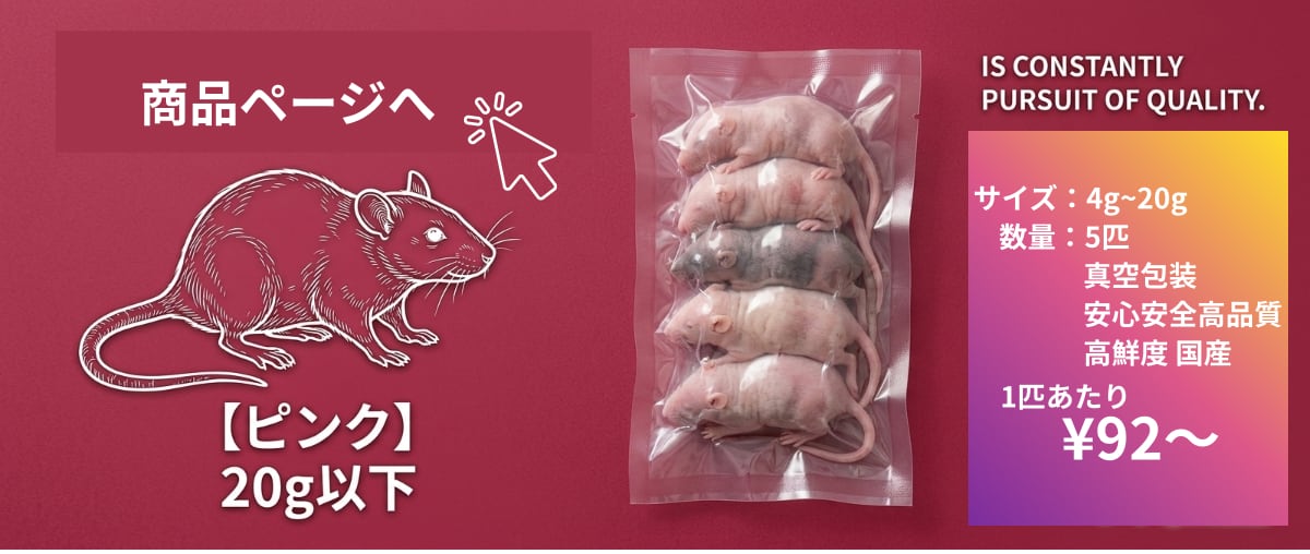 国産冷凍ラットRfarm・アールファームオンラインショップ