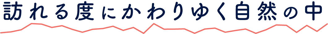 訪れる度にかわりゆく自然の中