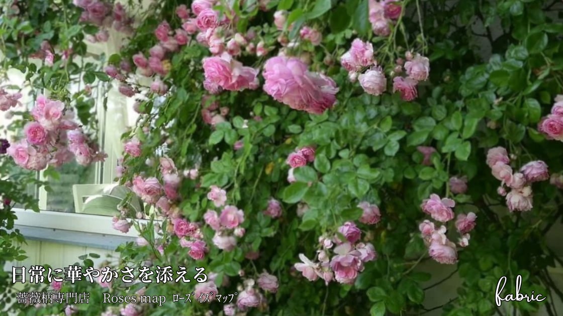 薔薇柄*生地 Roses map