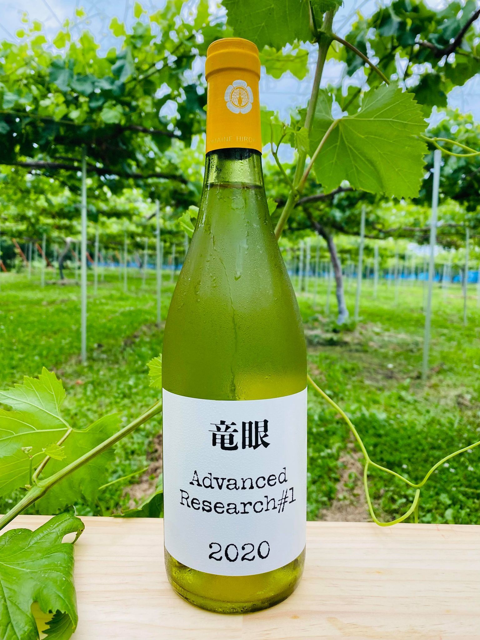 竜眼 Ryugan Wine