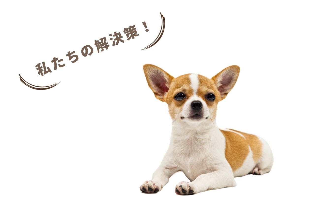 私たちの解決策