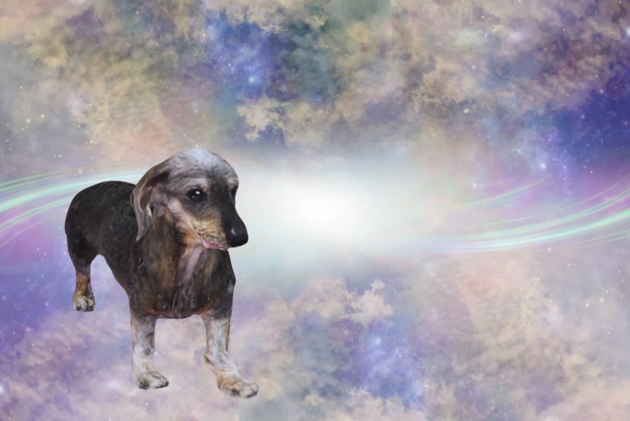 SF映画の世界を体験