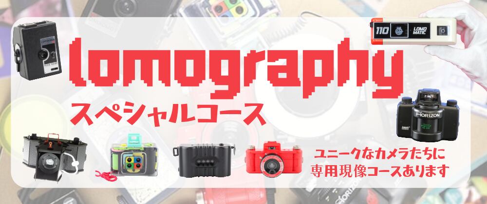 miii様ご確認用ページ フォトデポ彩色兼美 [フィルムカメラ・郵送写真  